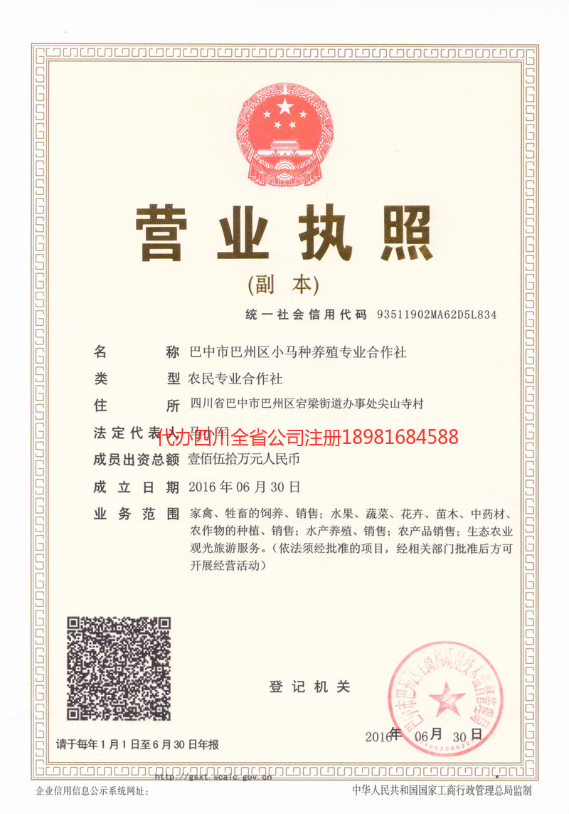 义马义马小马种养殖专业合作社